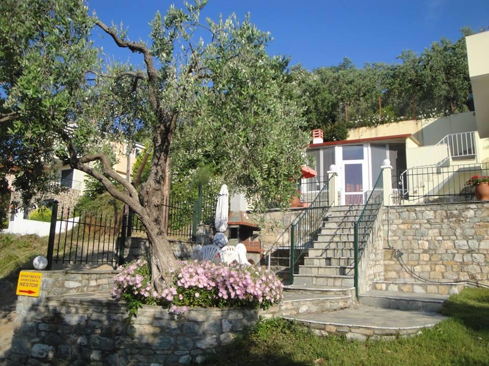 Nestor Apartments Chrysi Ammoudia Buitenkant foto