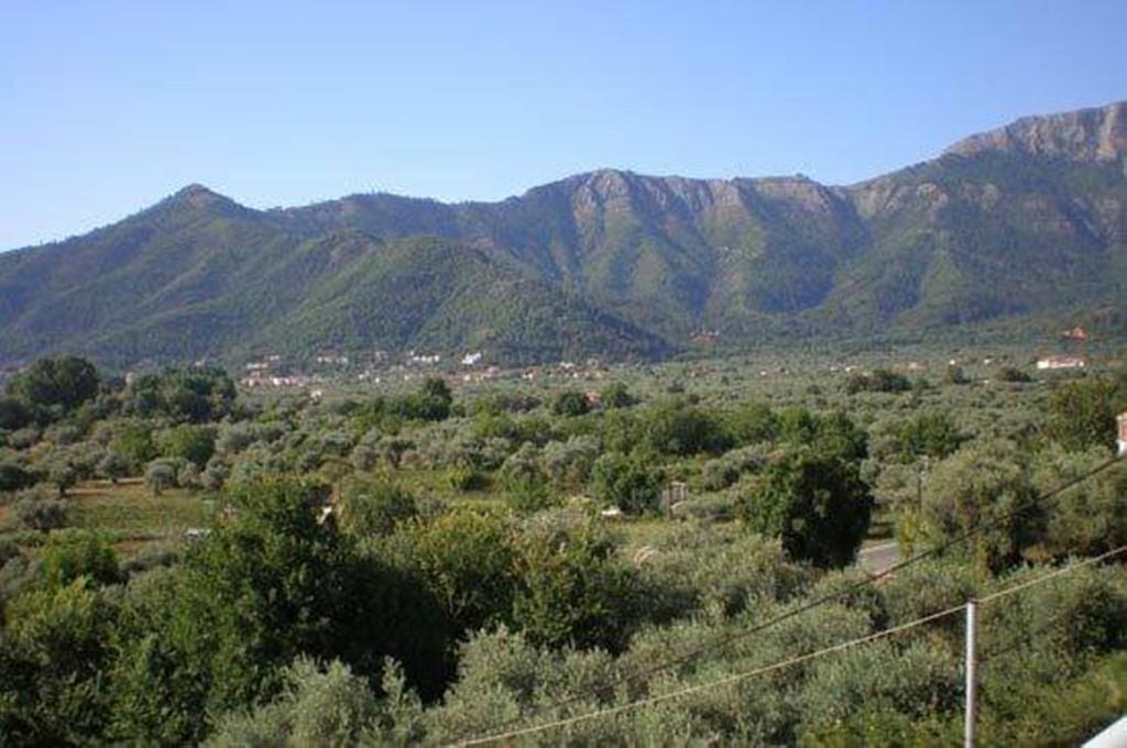 Nestor Apartments Chrysi Ammoudia Kamer foto